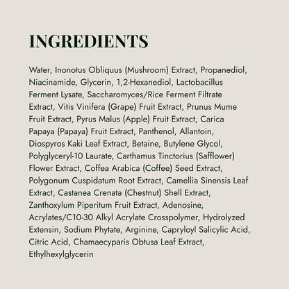 efilow Chaga Mushroom Biome Pore Clearing Pad 100s | Improve Skin Barrier & Nourish Pores